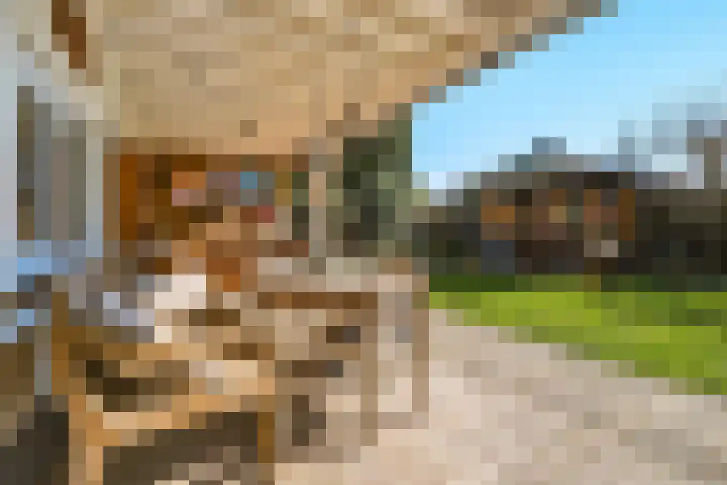 P.A. de Genestetlaan 4 Vlissingen thumbnail 28