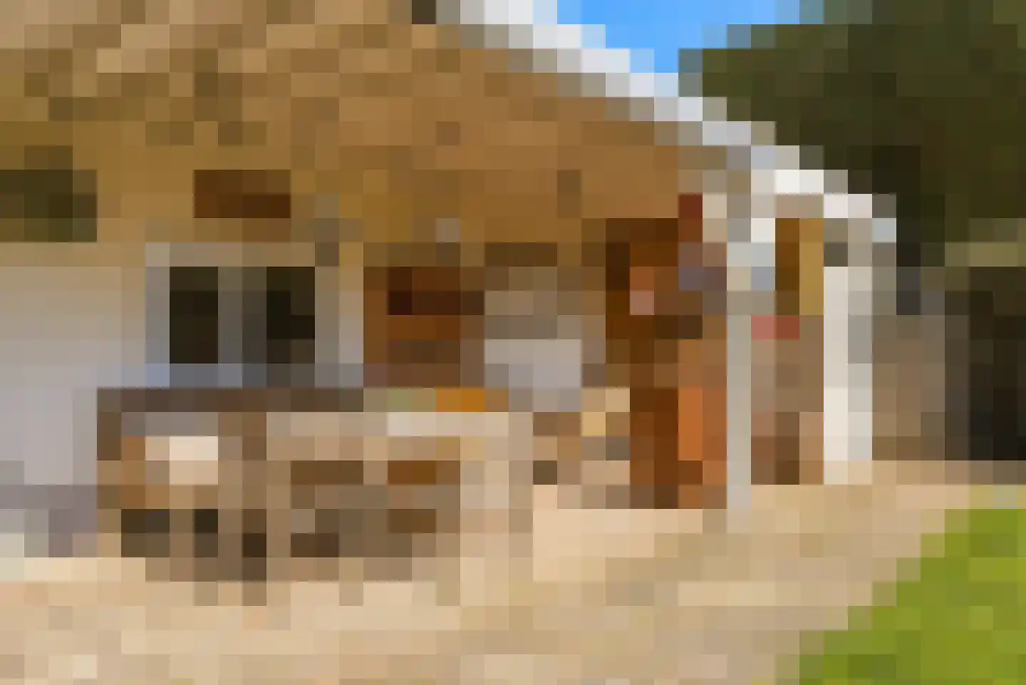 P.A. de Genestetlaan 4 Vlissingen thumbnail 29