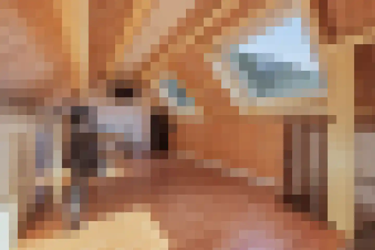 P.A. de Genestetlaan 4 Vlissingen thumbnail 36