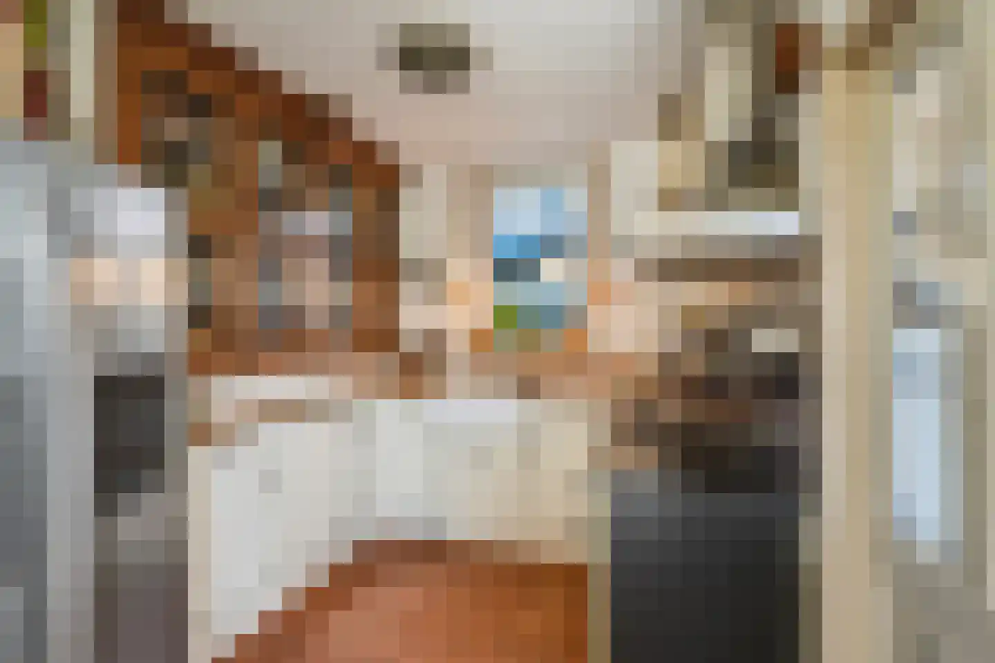 P.A. de Genestetlaan 4 Vlissingen thumbnail 9