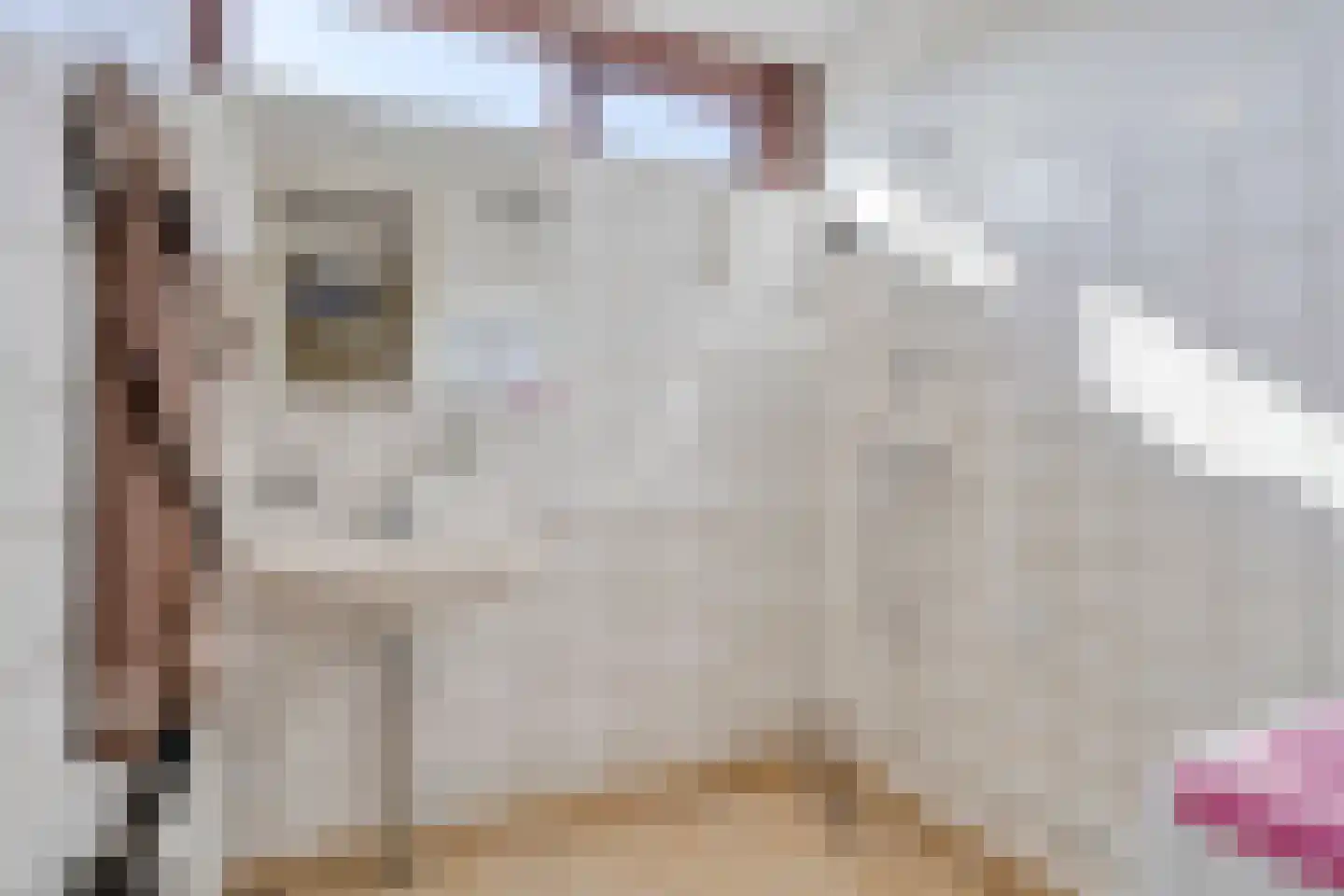 P.A. de Genestetstraat 1 Sliedrecht thumbnail 18