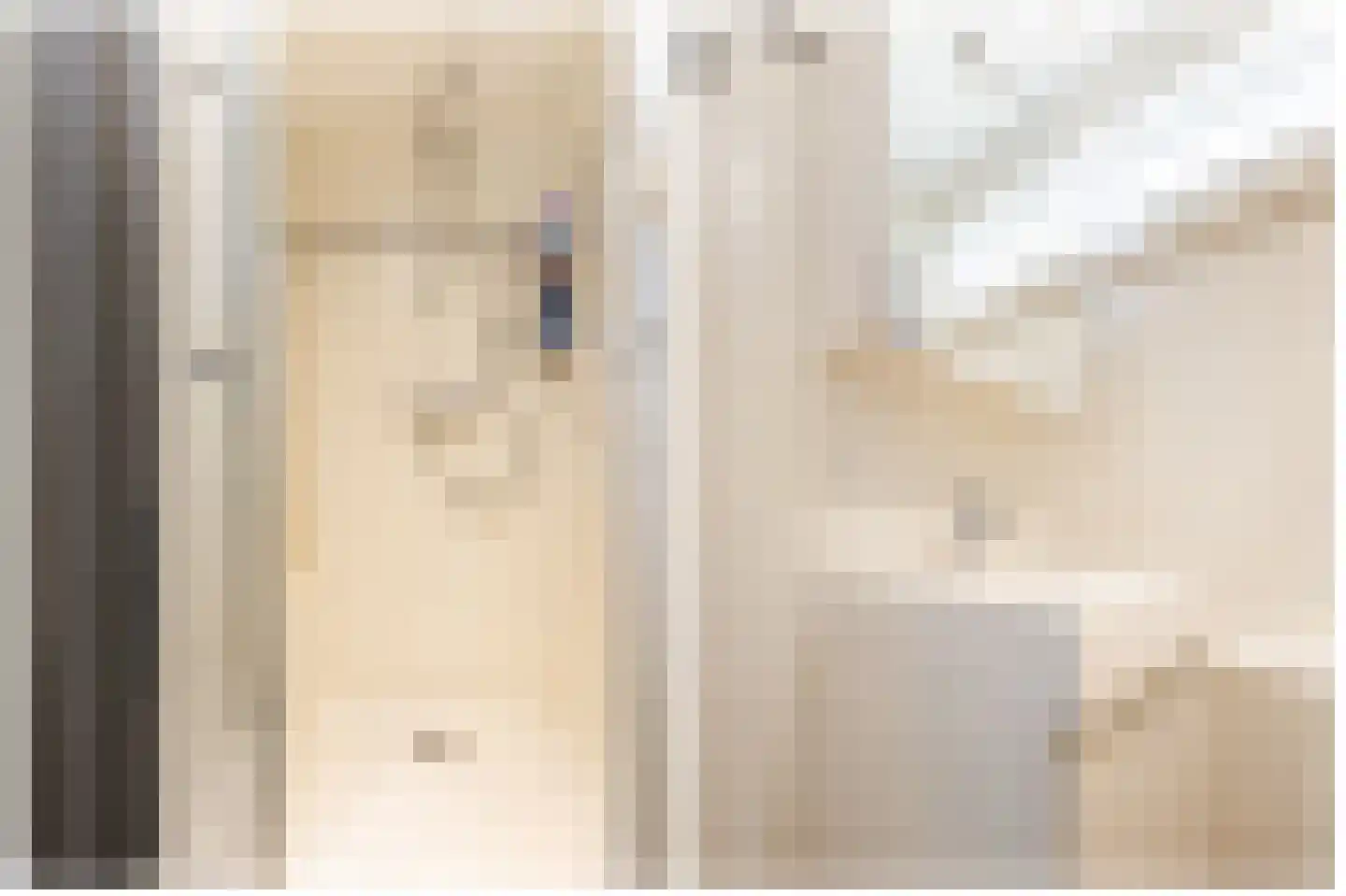 P.A. de Genestetstraat 2 Sliedrecht thumbnail 13