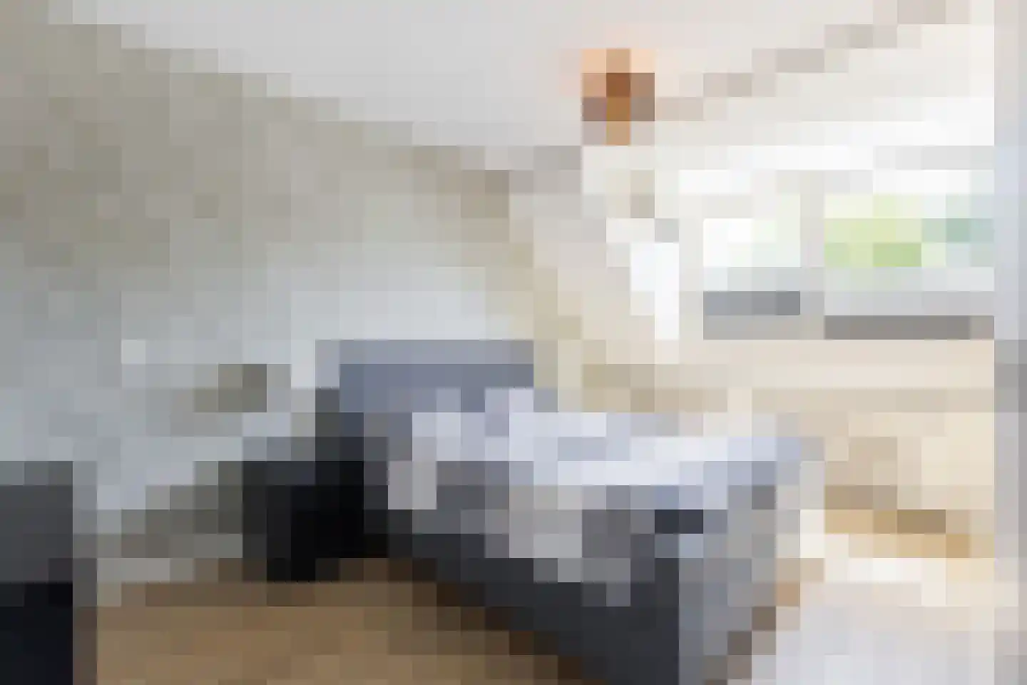 P.A. de Genestetstraat 49 Sliedrecht thumbnail 13