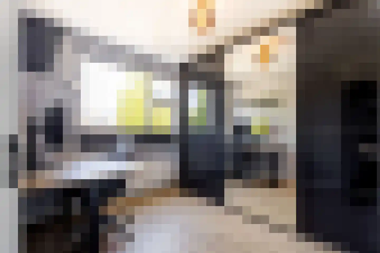 P.A. de Genestetstraat 49 Sliedrecht thumbnail 15