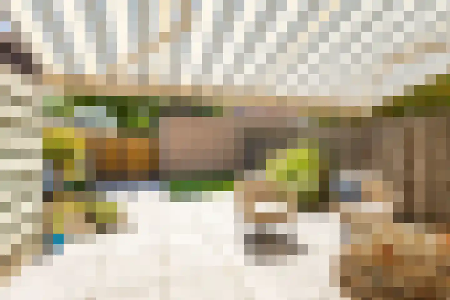 P.A. de Genestetstraat 49 Sliedrecht thumbnail 26