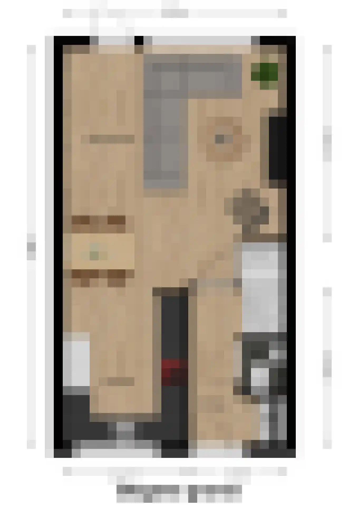 P.A. de Genestetstraat 49 Sliedrecht thumbnail 31