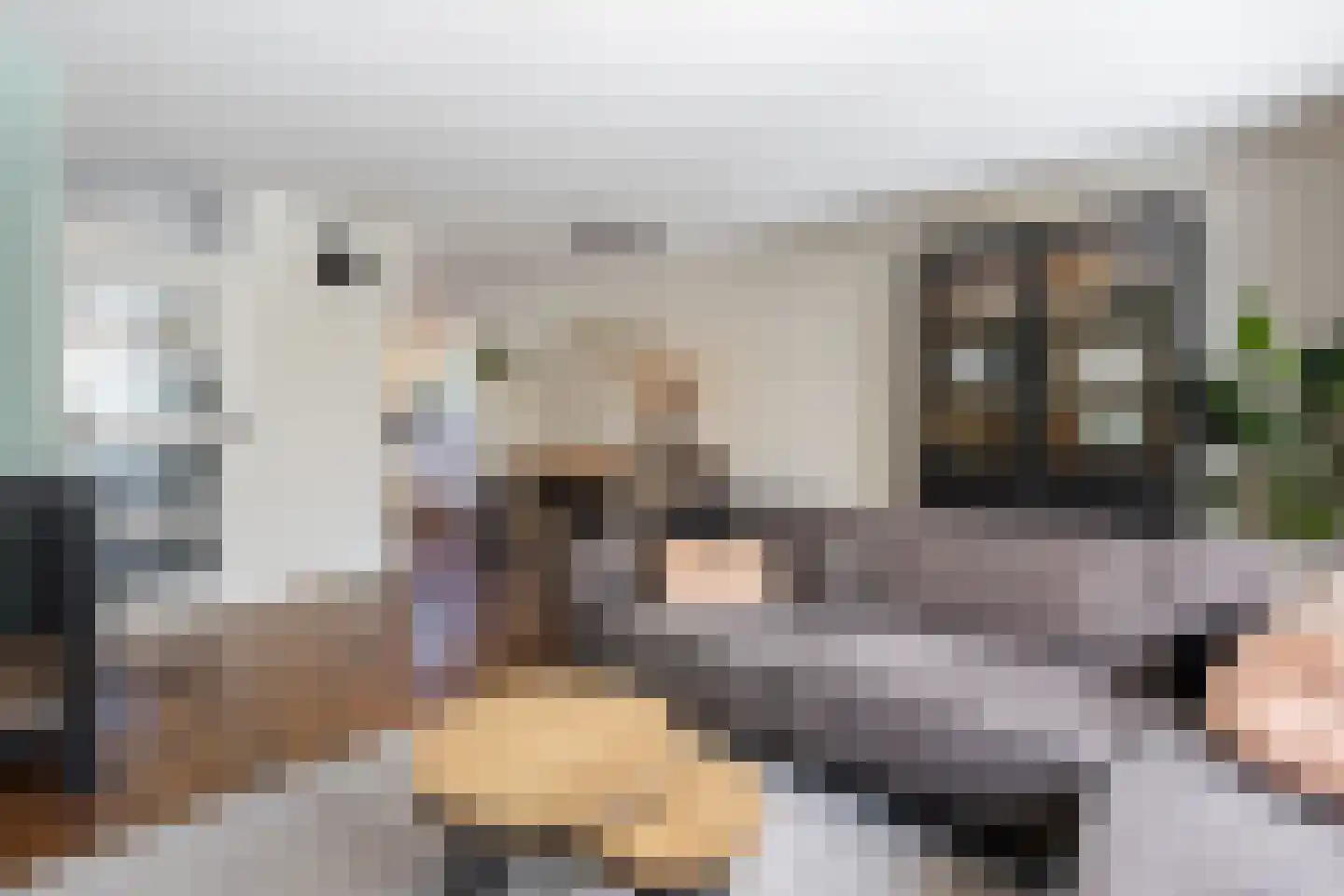 P.A. de Genestetstraat 49 Sliedrecht thumbnail 5