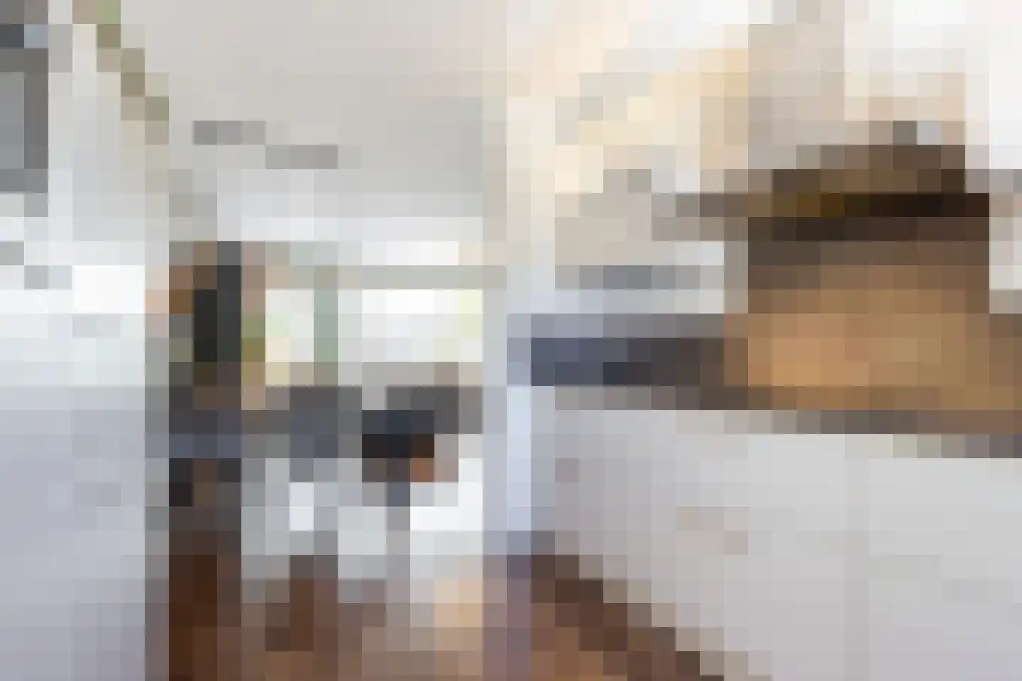 P.A. de Genestetstraat 49 Sliedrecht thumbnail 9