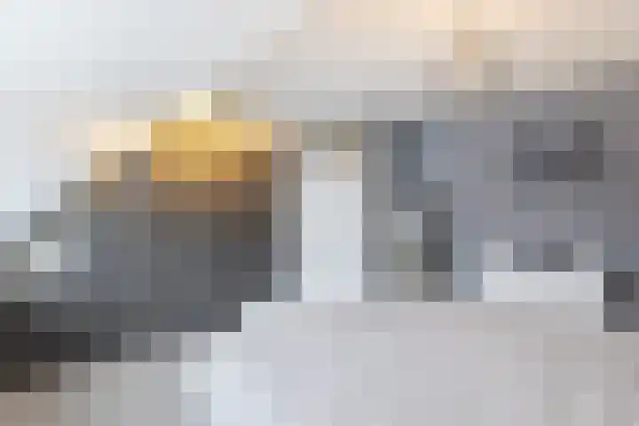 P.A. de Genestetstraat 55 Sliedrecht thumbnail 13