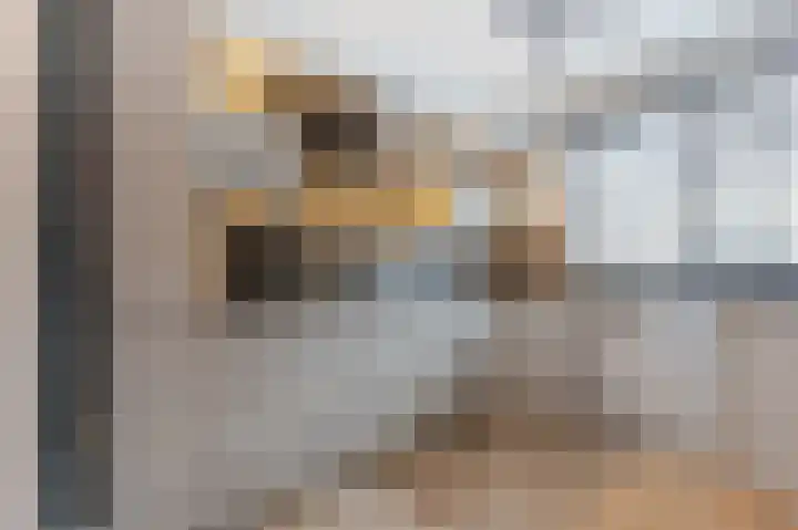 P.A. de Genestetstraat 55 Sliedrecht thumbnail 7