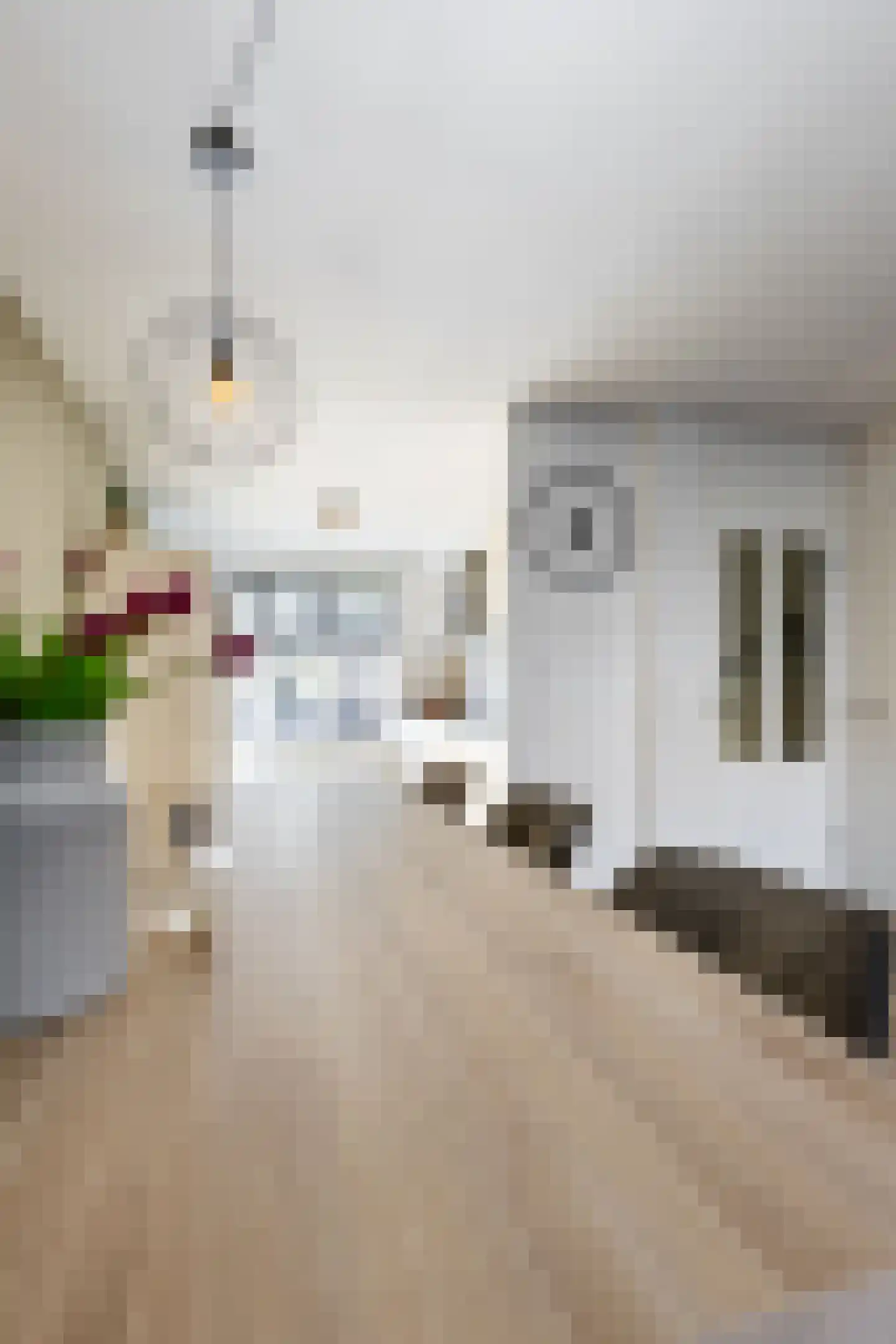 P.A. de Genestetstraat 57 Sliedrecht thumbnail 34