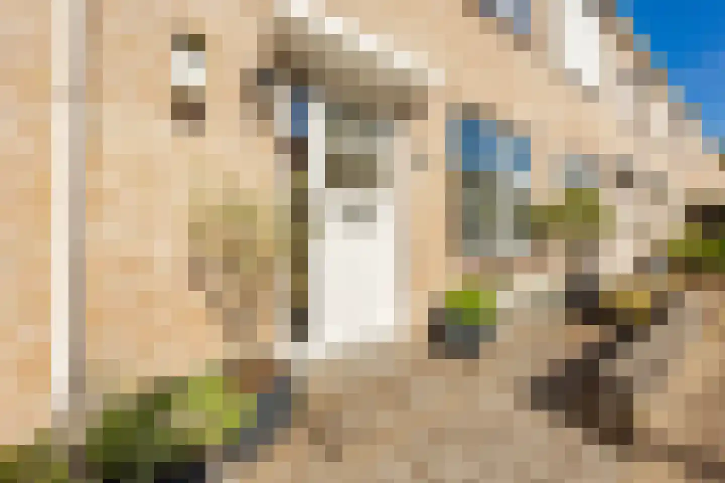P.A. de Genestetstraat 57 Sliedrecht thumbnail 43