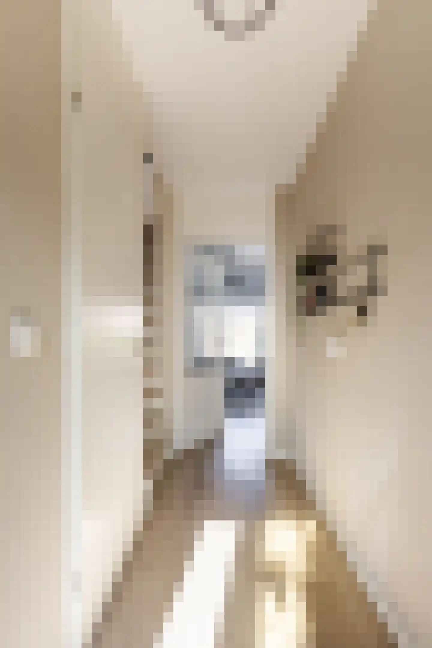 P.A. de Genestetstraat 57 Sliedrecht thumbnail 45