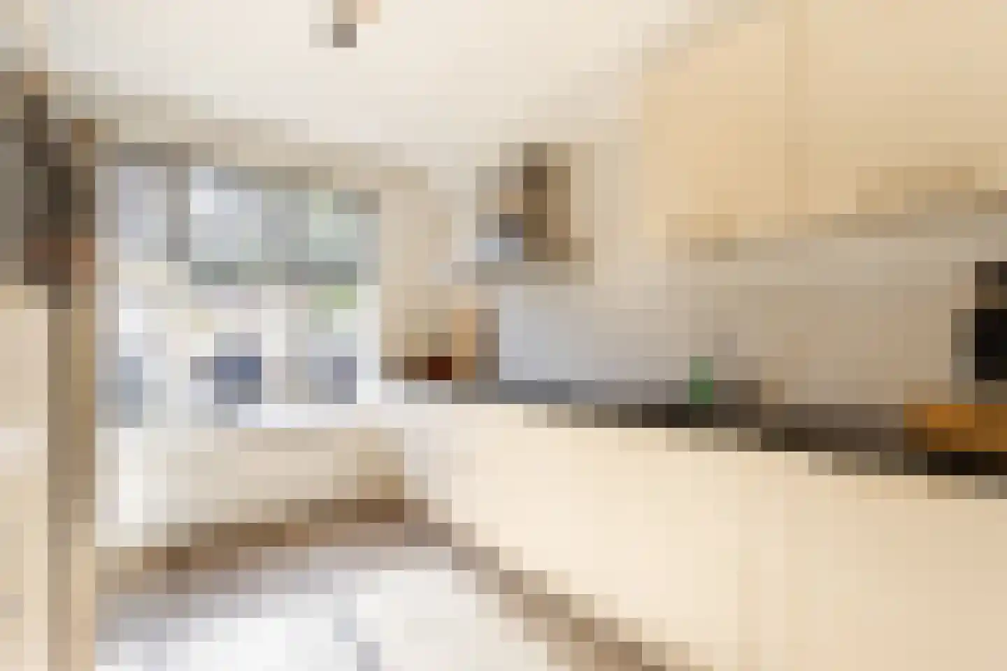 P.A. de Genestetstraat 57 Sliedrecht thumbnail 9
