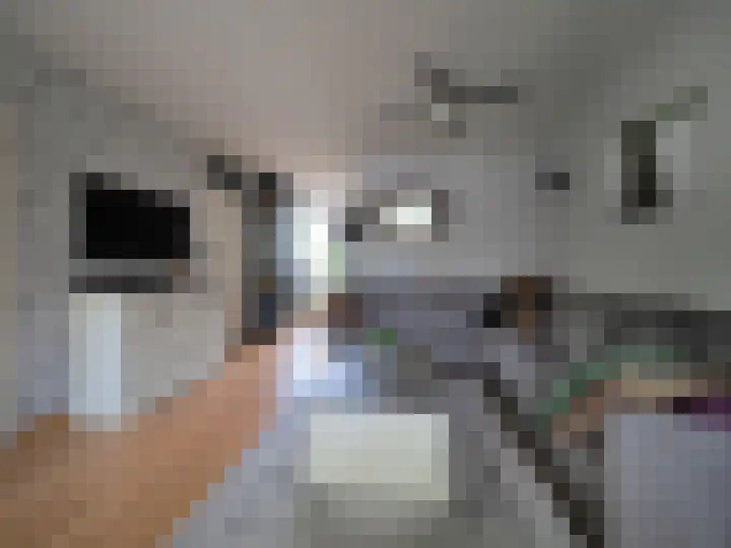 P.A. de Genestetstraat 92 Sliedrecht thumbnail 11