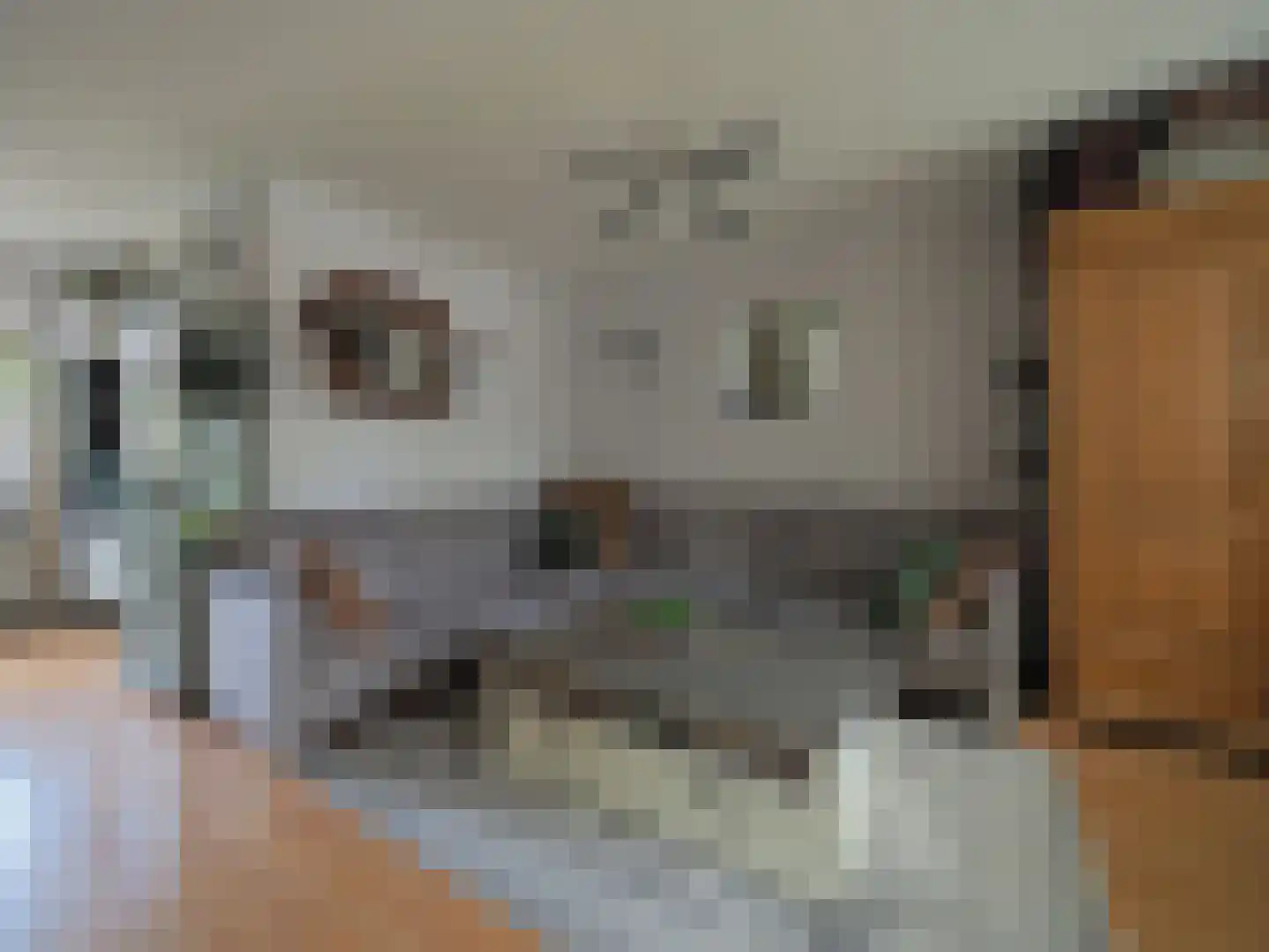 P.A. de Genestetstraat 92 Sliedrecht thumbnail 12