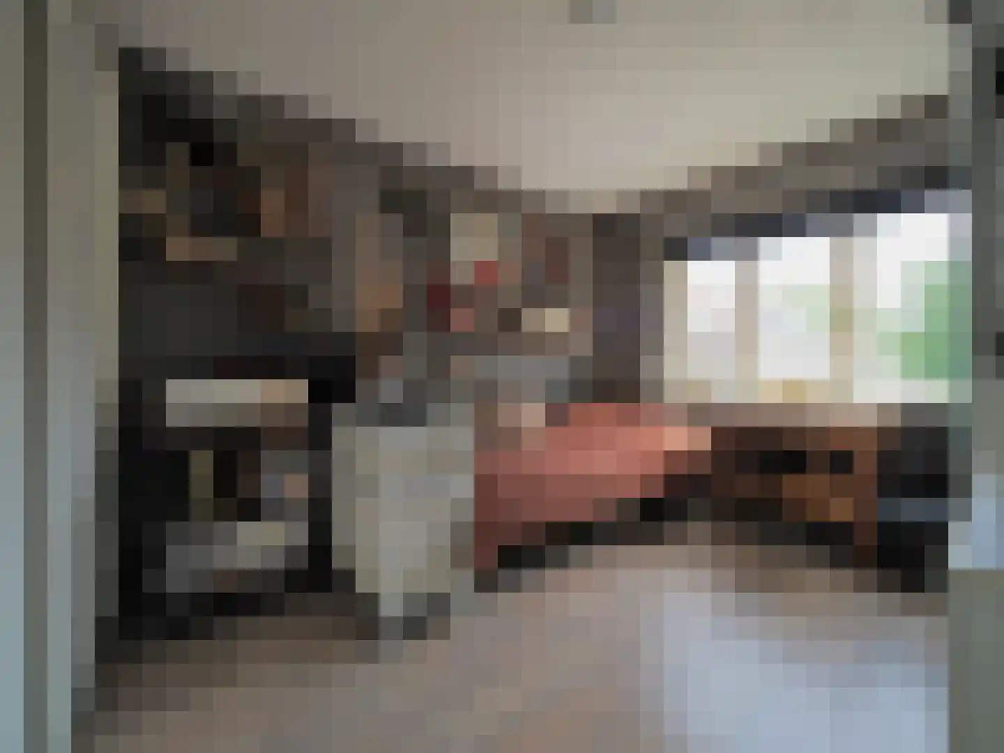 P.A. de Genestetstraat 92 Sliedrecht thumbnail 25