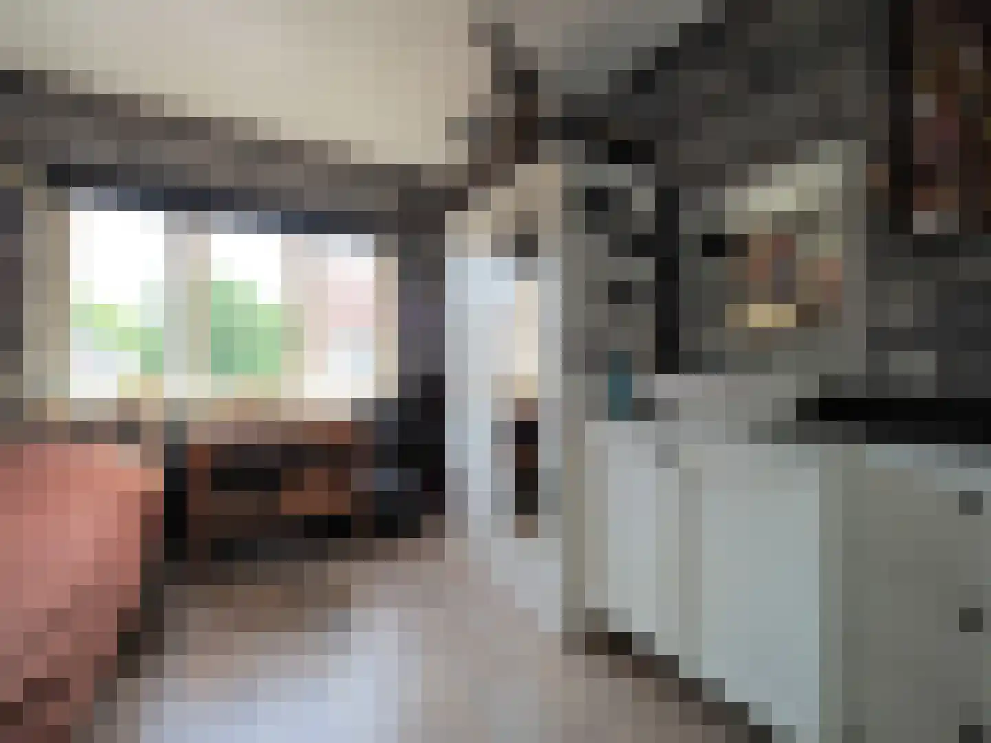 P.A. de Genestetstraat 92 Sliedrecht thumbnail 26