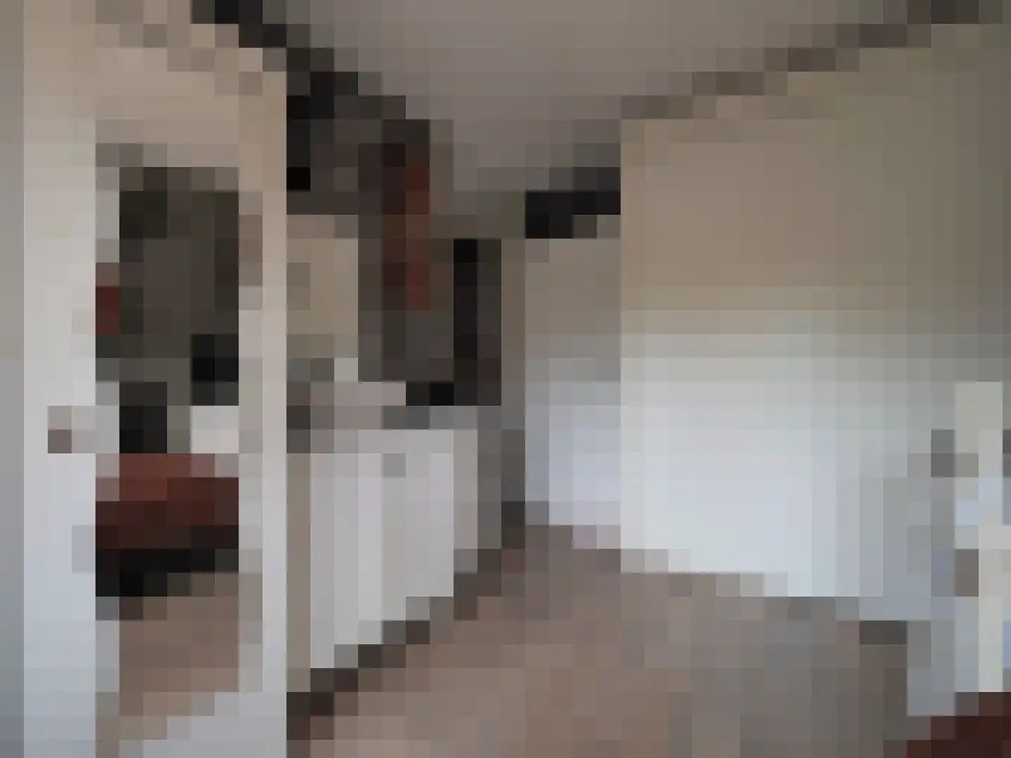 P.A. de Genestetstraat 92 Sliedrecht thumbnail 28