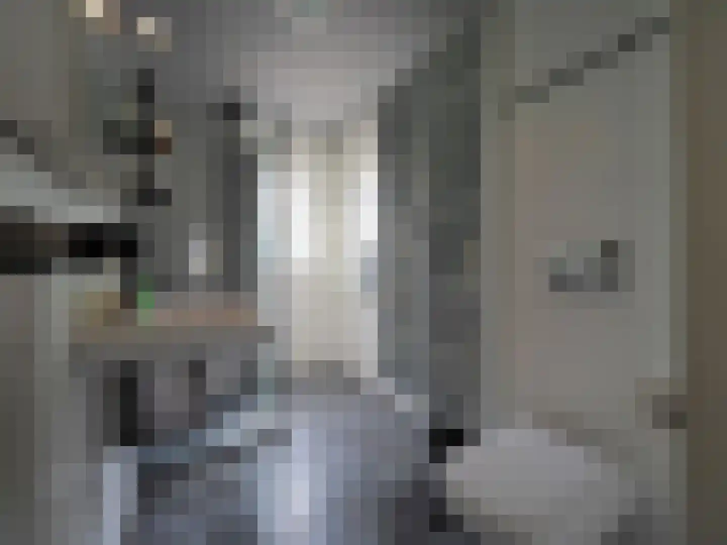 P.A. de Genestetstraat 92 Sliedrecht thumbnail 31