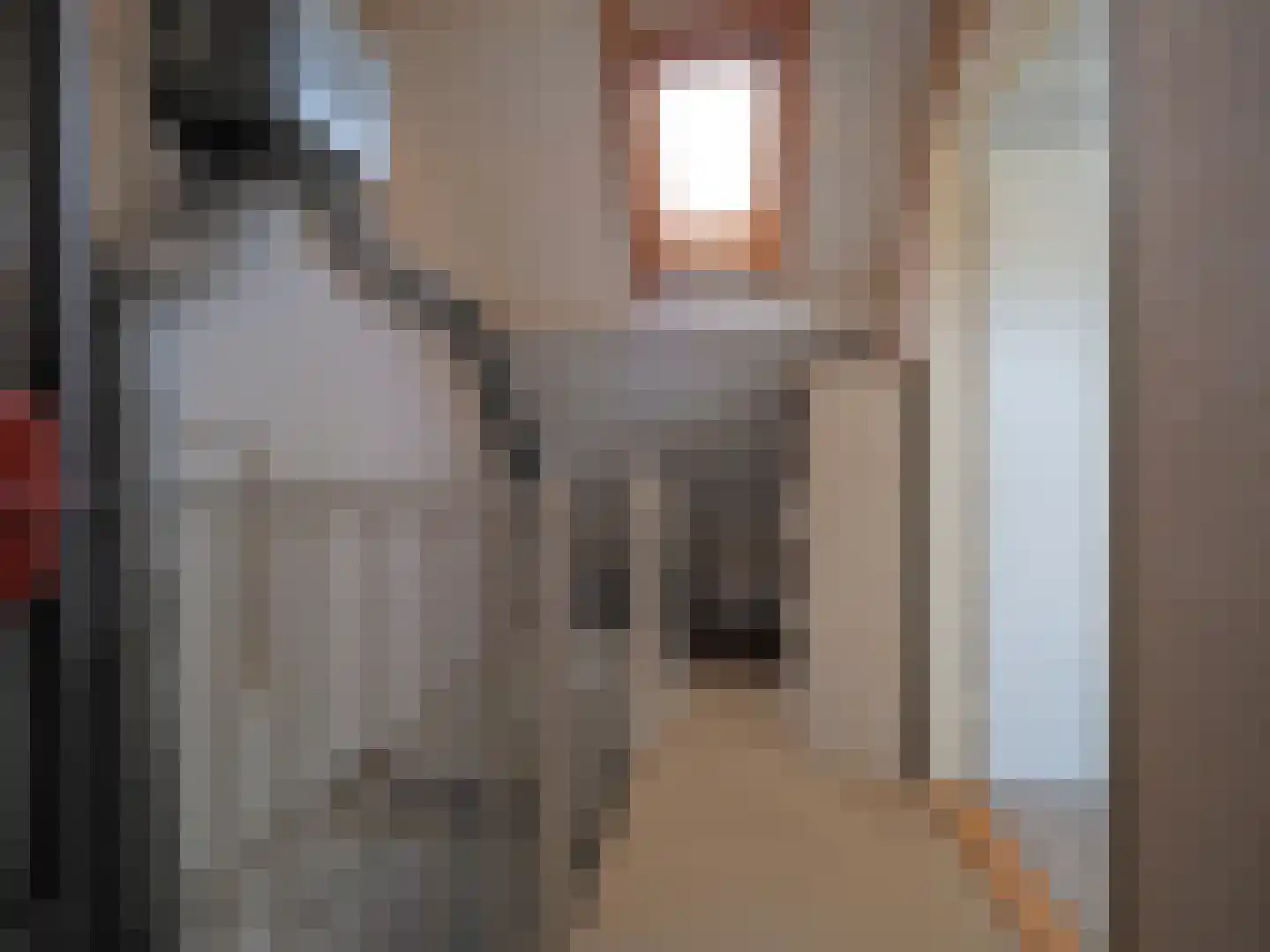 P.A. de Genestetstraat 92 Sliedrecht thumbnail 35