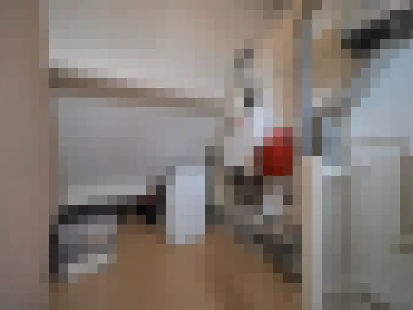 P.A. de Genestetstraat 92 Sliedrecht thumbnail 36