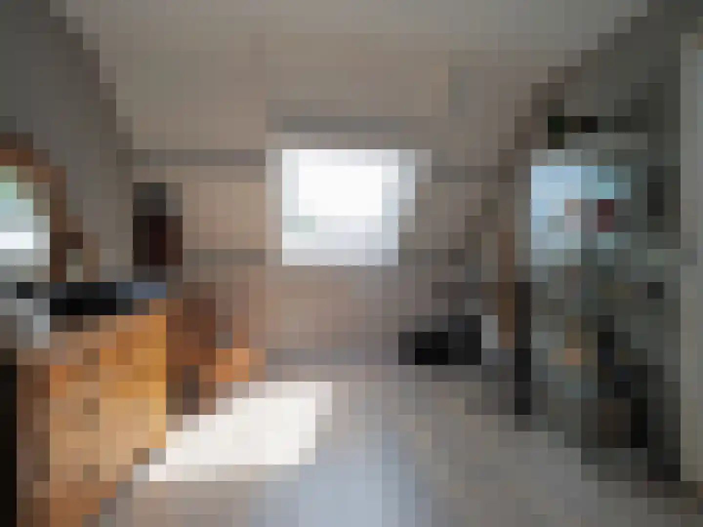 P.A. de Genestetstraat 92 Sliedrecht thumbnail 38