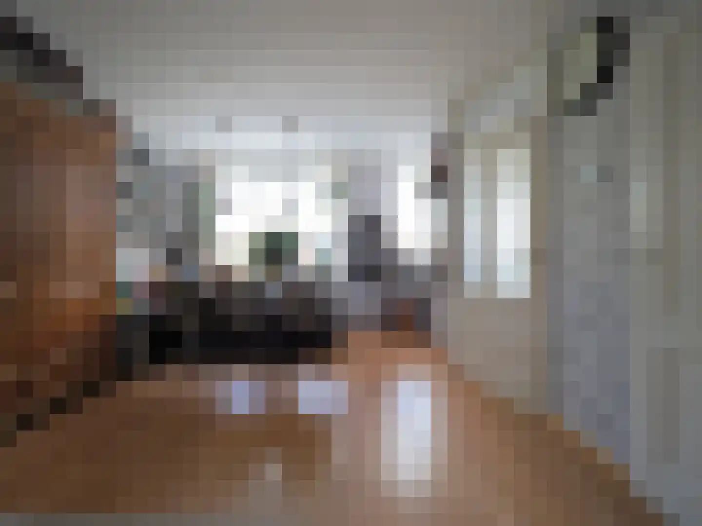 P.A. de Genestetstraat 92 Sliedrecht thumbnail 7