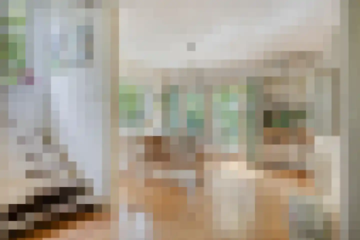 P.A. Kramerhof 24 Purmerend thumbnail 12