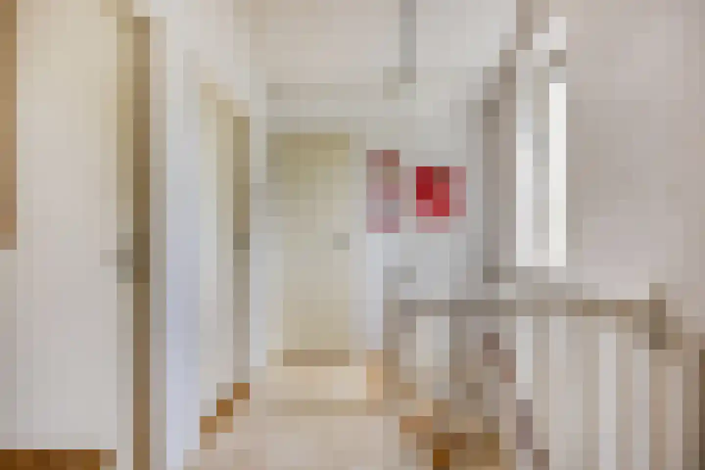 P.A. Kramerhof 24 Purmerend thumbnail 27