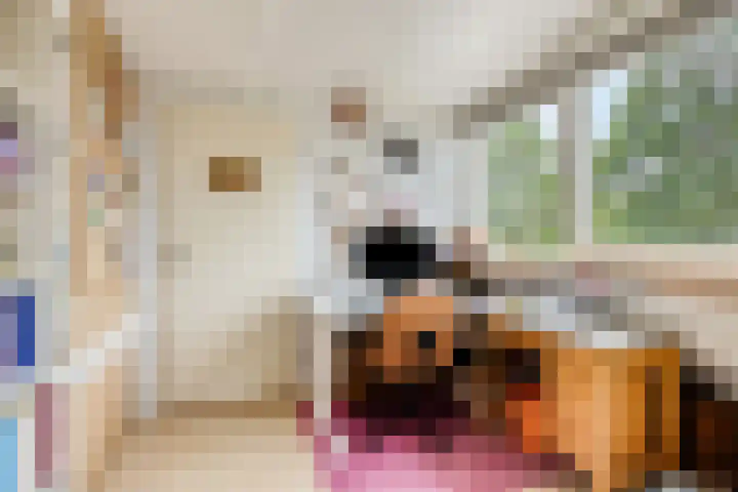 P.A. Kramerhof 24 Purmerend thumbnail 31