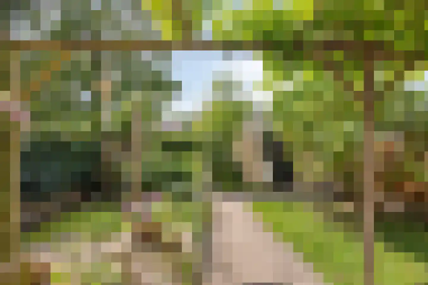 P.A. Kramerhof 24 Purmerend thumbnail 32