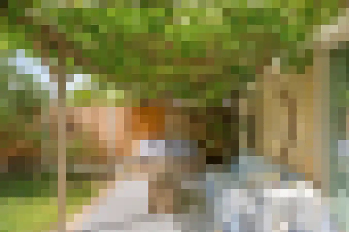 P.A. Kramerhof 24 Purmerend thumbnail 33