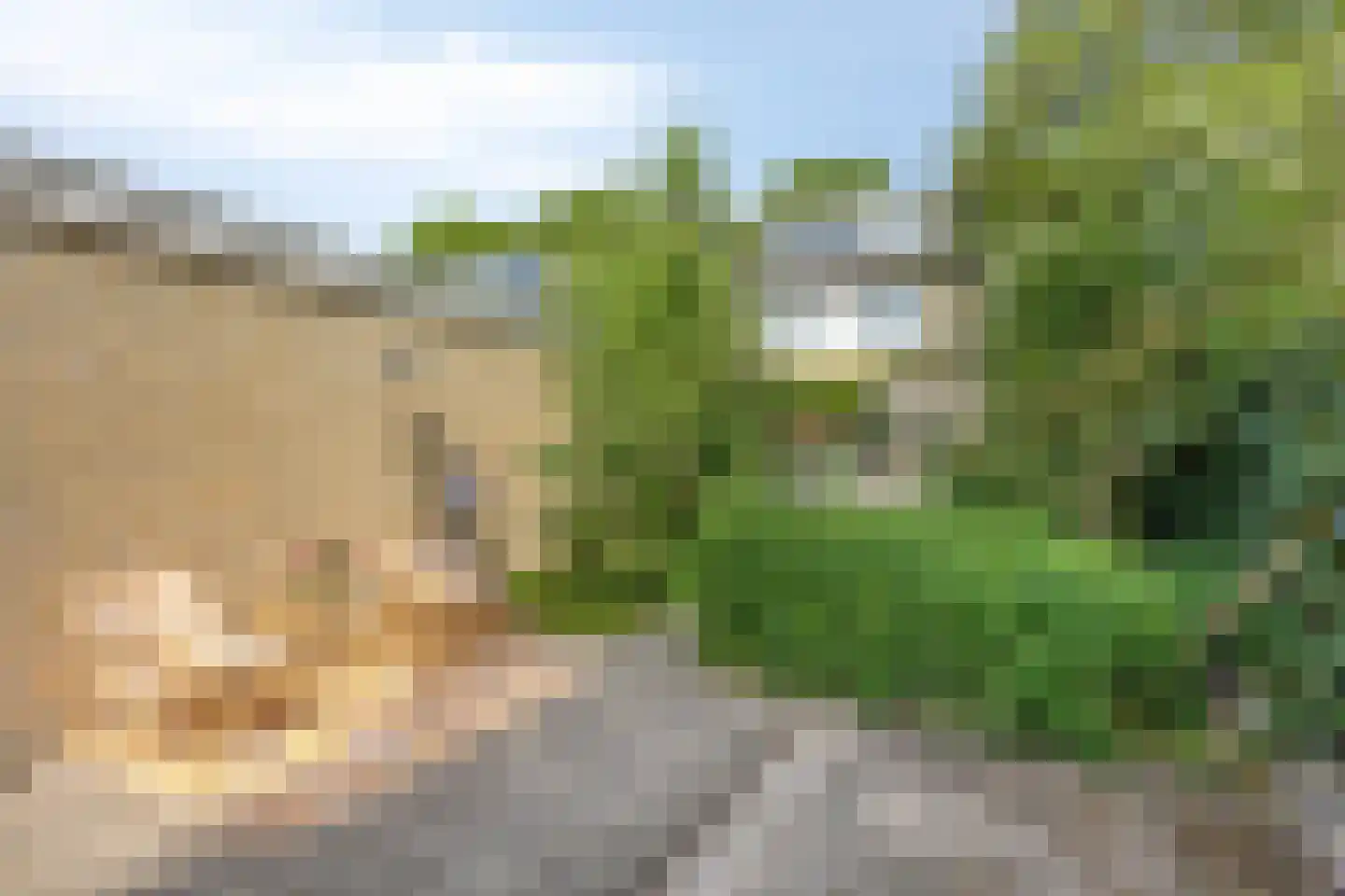 P.A. Kramerhof 24 Purmerend thumbnail 36