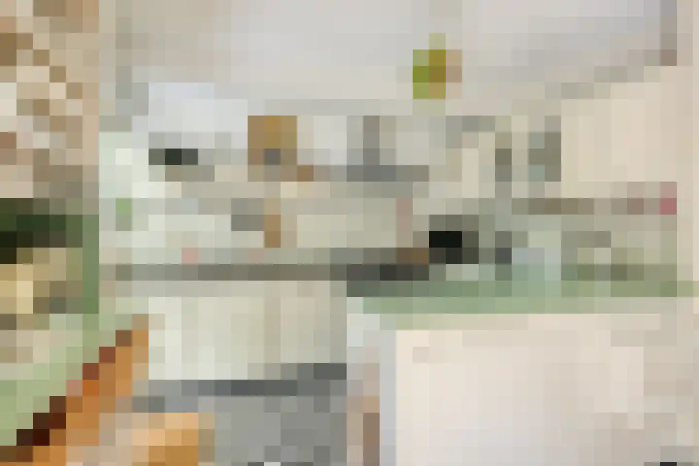 P.A. Kramerhof 24 Purmerend thumbnail 4