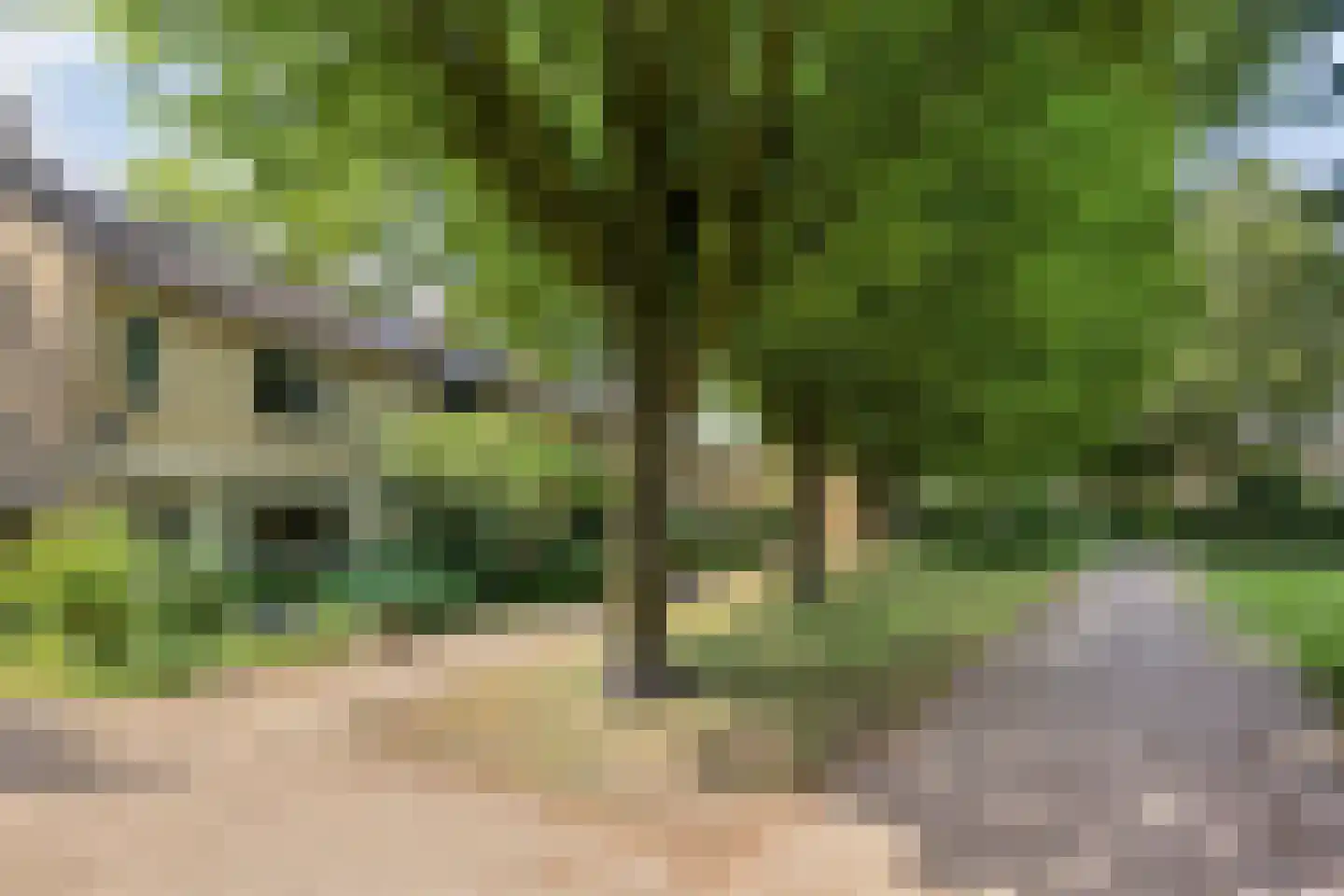 P.A. Kramerhof 24 Purmerend thumbnail 6