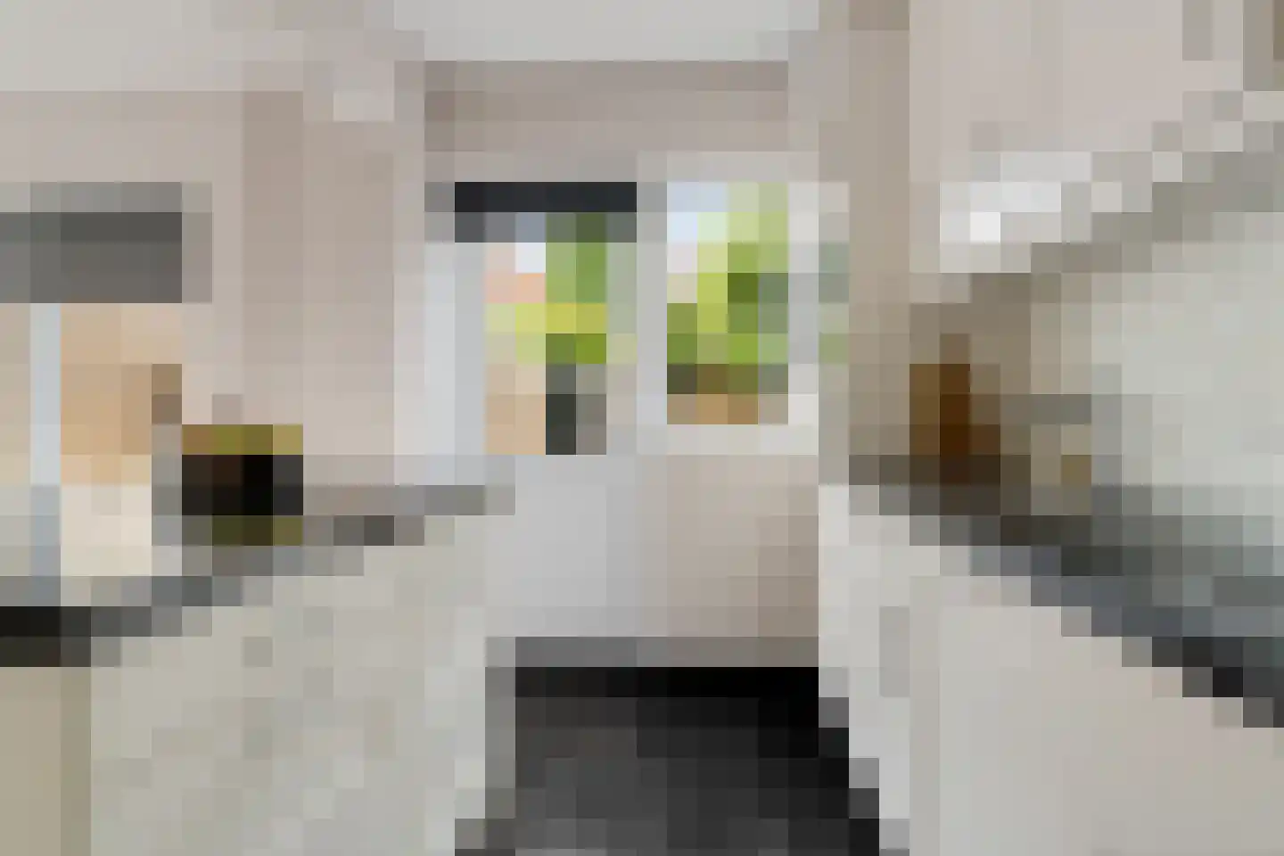 P.A. van Deldenstraat 33 Enschede thumbnail 18