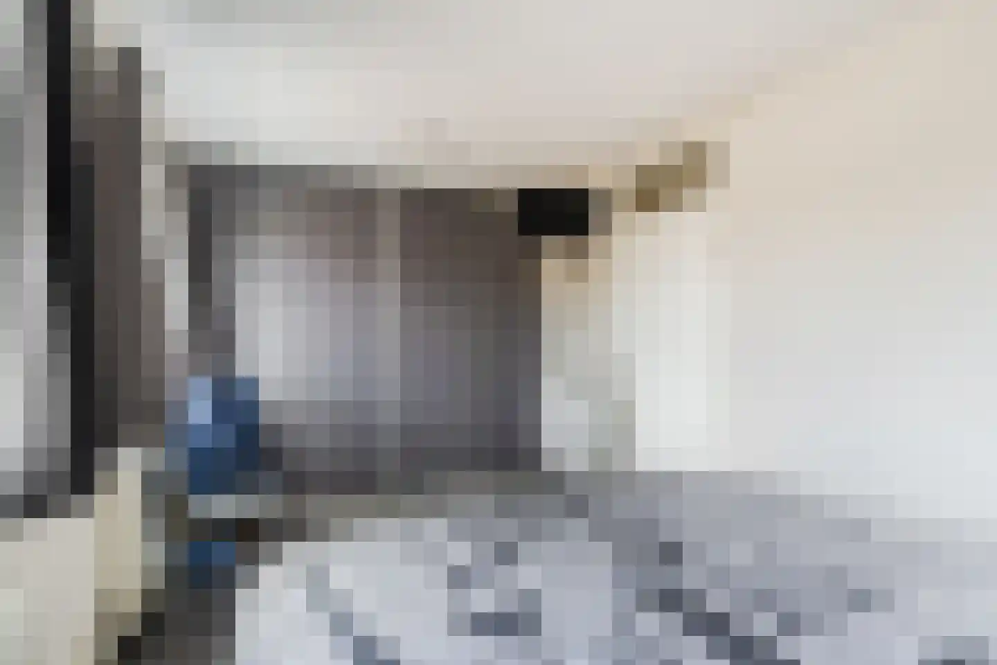 P.A. van Meverstraat 4 Zaandam thumbnail 31