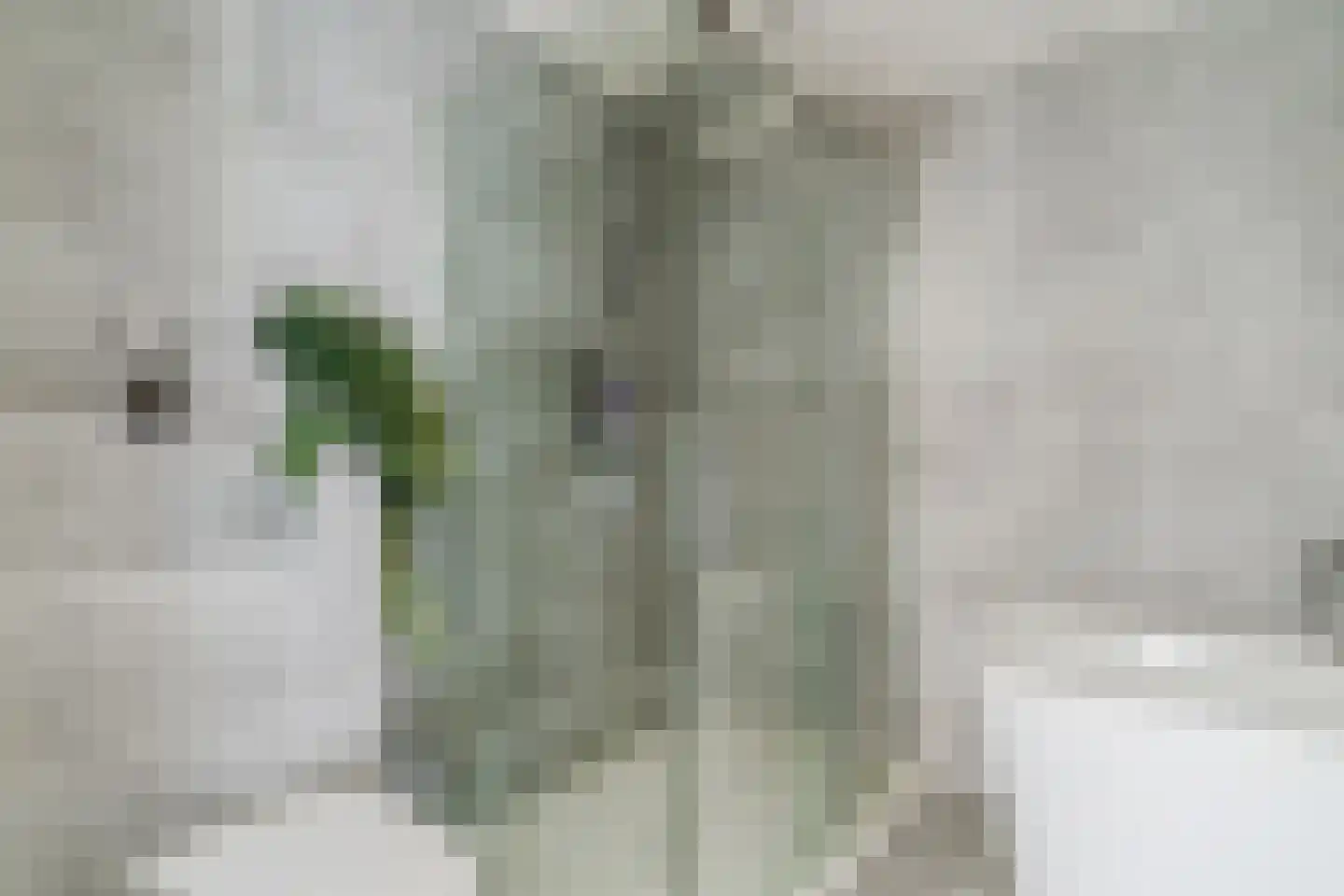 P.A. van Meverstraat 4 Zaandam thumbnail 35