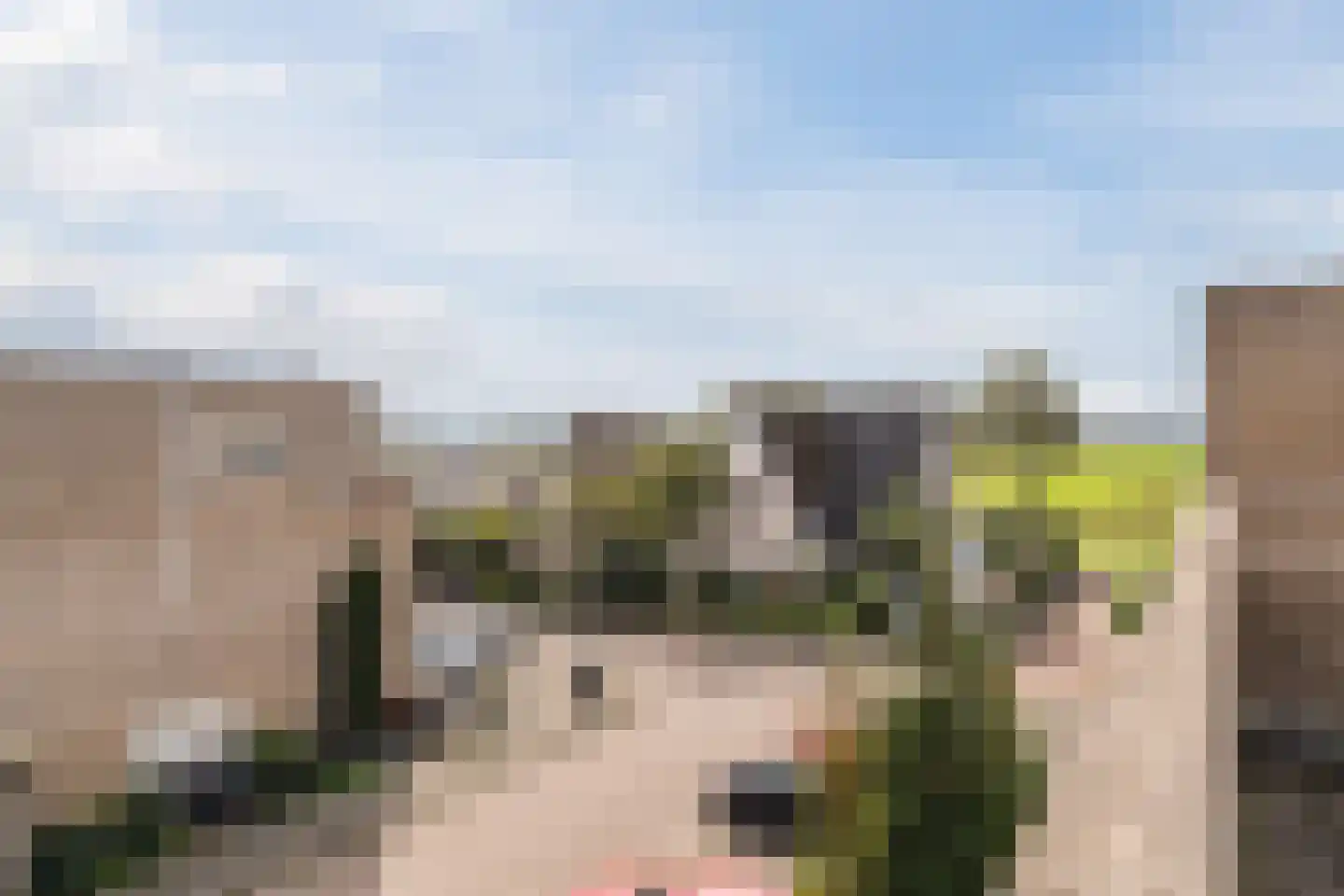 P.A. van Meverstraat 4 Zaandam thumbnail 53