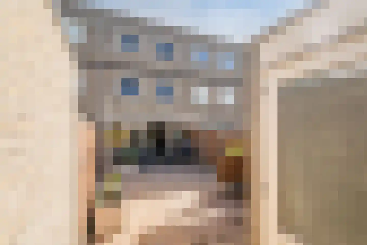 P.A. van Meverstraat 4 Zaandam thumbnail 61