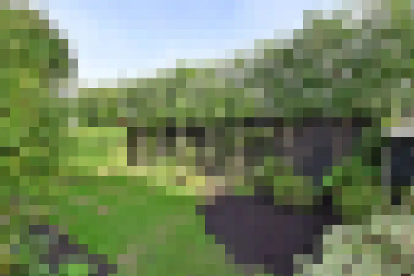 P.A. Weeldenburgpad 14 Hilversum thumbnail 23