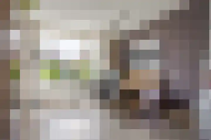 P.B. Winsemiusstrjitte 34 Minnertsga thumbnail 14