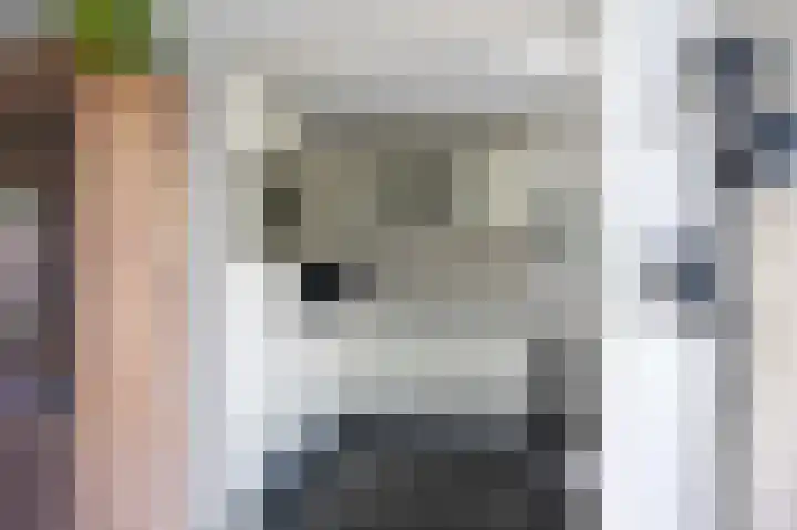 P.B. Winsemiusstrjitte 34 Minnertsga thumbnail 16