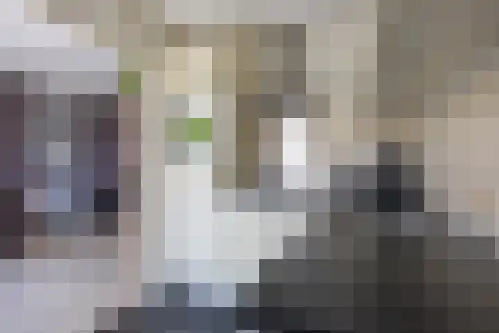 P.B. Winsemiusstrjitte 34 Minnertsga thumbnail 21