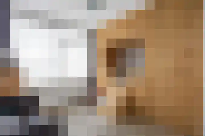 P.B. Winsemiusstrjitte 34 Minnertsga thumbnail 31