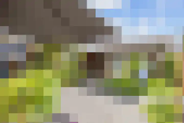 P.B. Winsemiusstrjitte 34 Minnertsga thumbnail 62