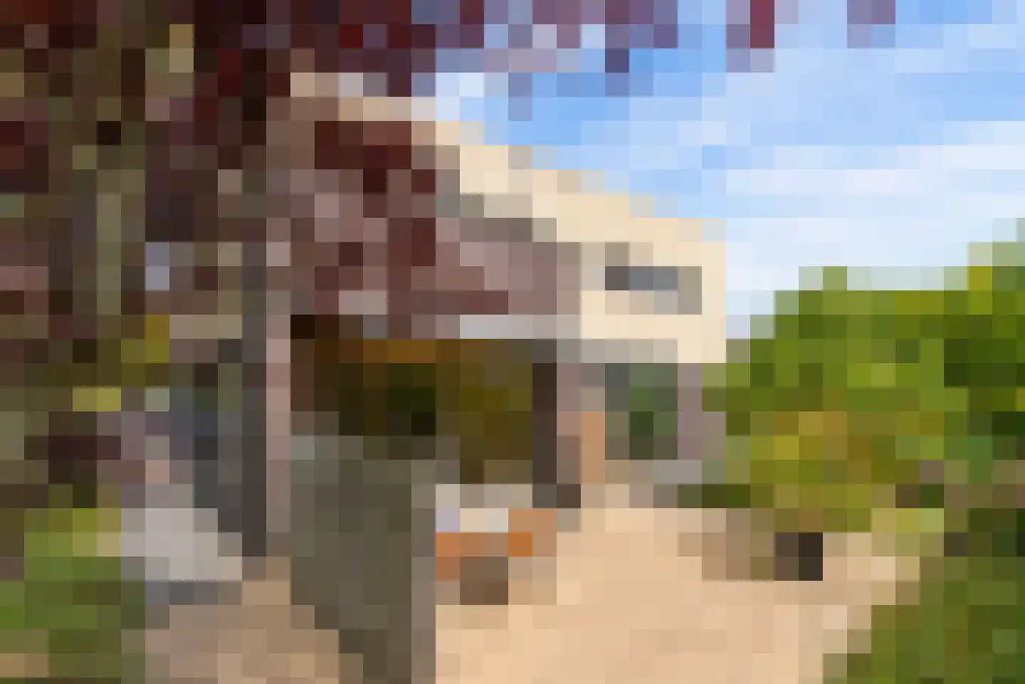 P. Bakkerstraat 2 Almere thumbnail 63