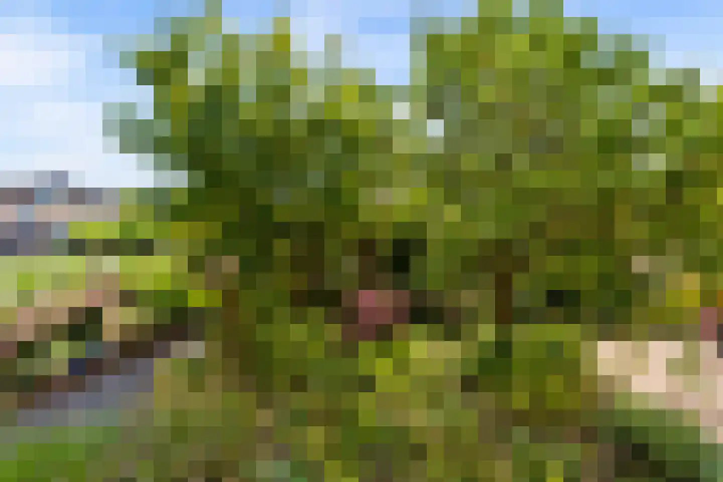P. Bakkerstraat 2 Almere thumbnail 72