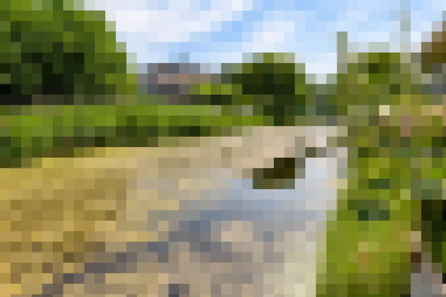 P. Bakkerstraat 2 Almere thumbnail 74